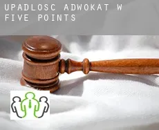 Upadłość adwokat w  Five Points