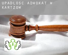 Upadłość adwokat w  Kartzow