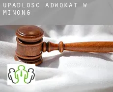 Upadłość adwokat w  Minong