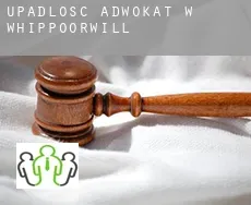 Upadłość adwokat w Whippoorwill