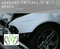 Adwokat imigracji w  Bruch