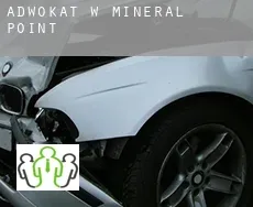 Adwokat w  Mineral Point