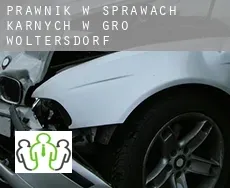 Prawnik w sprawach karnych w  Groß Woltersdorf