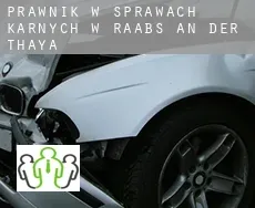 Prawnik w sprawach karnych w Raabs an der Thaya