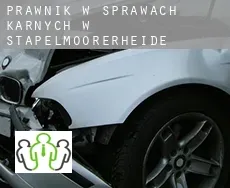 Prawnik w sprawach karnych w  Stapelmoorerheide