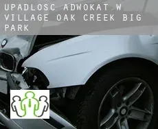 Upadłość adwokat w  Village of Oak Creek (Big Park)