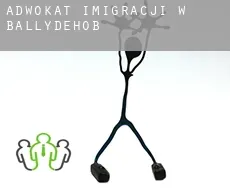 Adwokat imigracji w  Ballydehob