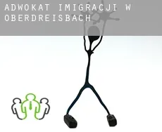 Adwokat imigracji w  Oberdreisbach