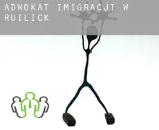 Adwokat imigracji w Ruilick