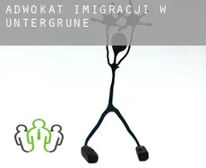 Adwokat imigracji w  Untergrüne