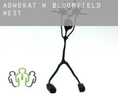 Adwokat w  Bloomfield West