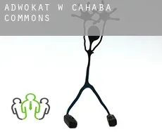 Adwokat w  Cahaba Commons