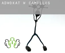 Adwokat w  Camillus
