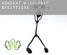 Adwokat w  Kolonie Breiteiche