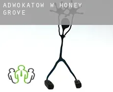 Adwokatów w Honey Grove