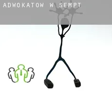 Adwokatów w  Sempt