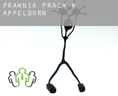 Prawnik praca w  Appeldorn