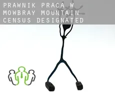 Prawnik praca w  Mowbray Mountain