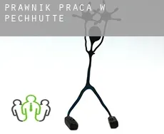 Prawnik praca w  Pechhütte