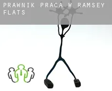 Prawnik praca w  Ramsey Flats