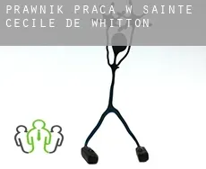 Prawnik praca w  Sainte-Cécile-de-Whitton