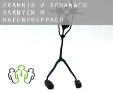 Prawnik w sprawach karnych w  Hafenpreppach
