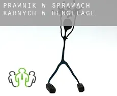 Prawnik w sprawach karnych w  Hengelage