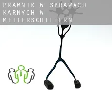Prawnik w sprawach karnych w  Mitterschiltern