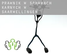 Prawnik w sprawach karnych w  Saarwellingen