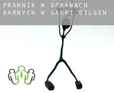 Prawnik w sprawach karnych w  Sankt Gilgen