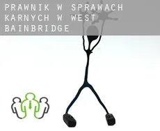 Prawnik w sprawach karnych w  West Bainbridge