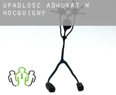 Upadłość adwokat w Hocquigny