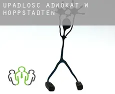 Upadłość adwokat w  Hoppstädten