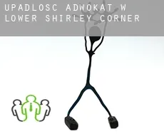 Upadłość adwokat w  Lower Shirley Corner