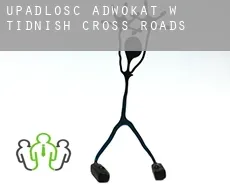 Upadłość adwokat w  Tidnish Cross Roads