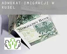 Adwokat imigracji w  Küsel