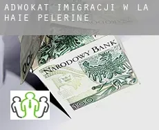 Adwokat imigracji w La Haie-Pélerine