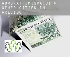 Adwokat imigracji w  Other cities in Arecibo