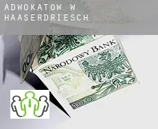 Adwokatów w  Haaserdriesch
