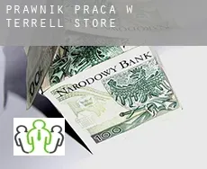 Prawnik praca w  Terrell Store