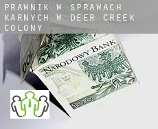 Prawnik w sprawach karnych w  Deer Creek Colony