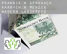 Prawnik w sprawach karnych w  Merzig-Wadern Landkreis