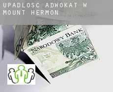 Upadłość adwokat w  Mount Hermon