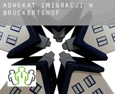 Adwokat imigracji w  Bruckertshof