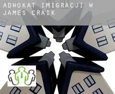 Adwokat imigracji w  James Craik