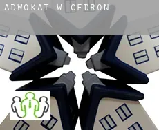 Adwokat w  Cedron