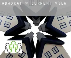 Adwokat w  Current View