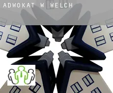 Adwokat w  Welch