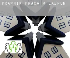 Prawnik praca w  Labrun