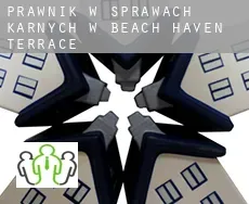 Prawnik w sprawach karnych w  Beach Haven Terrace